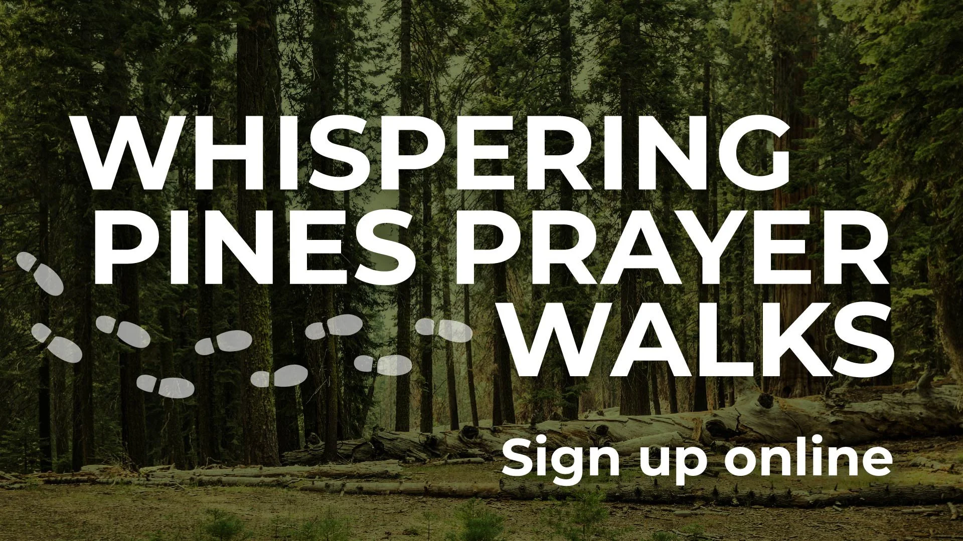 WP-Prayer-Walk-web.jpg