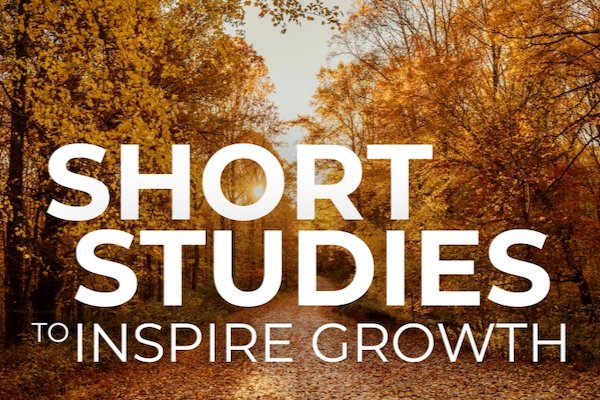 Short Studies to Inspire Growth