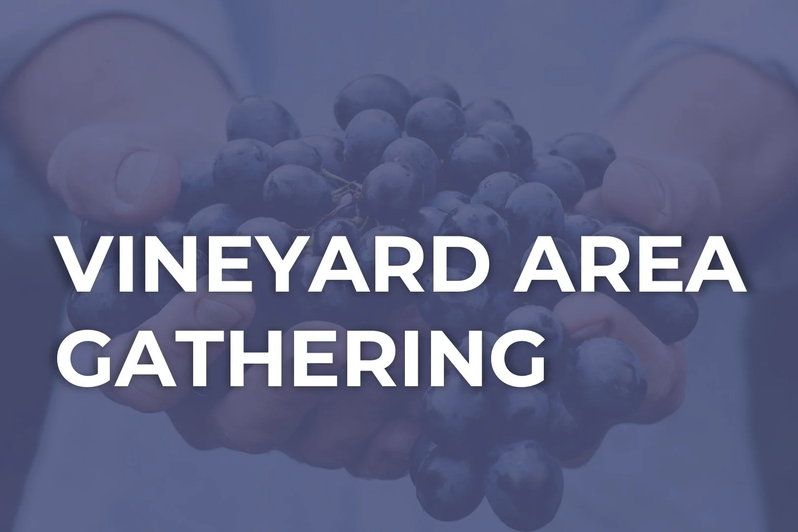 Vineyard Area Gathering