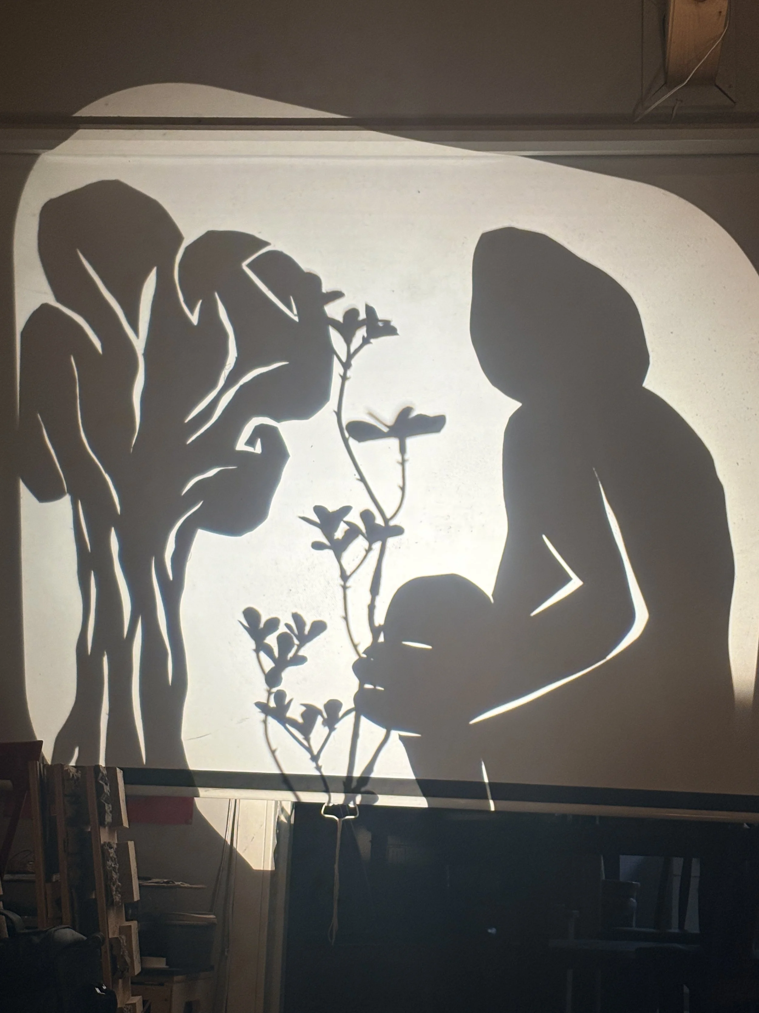 Confluence: an experimental shadow puppet show