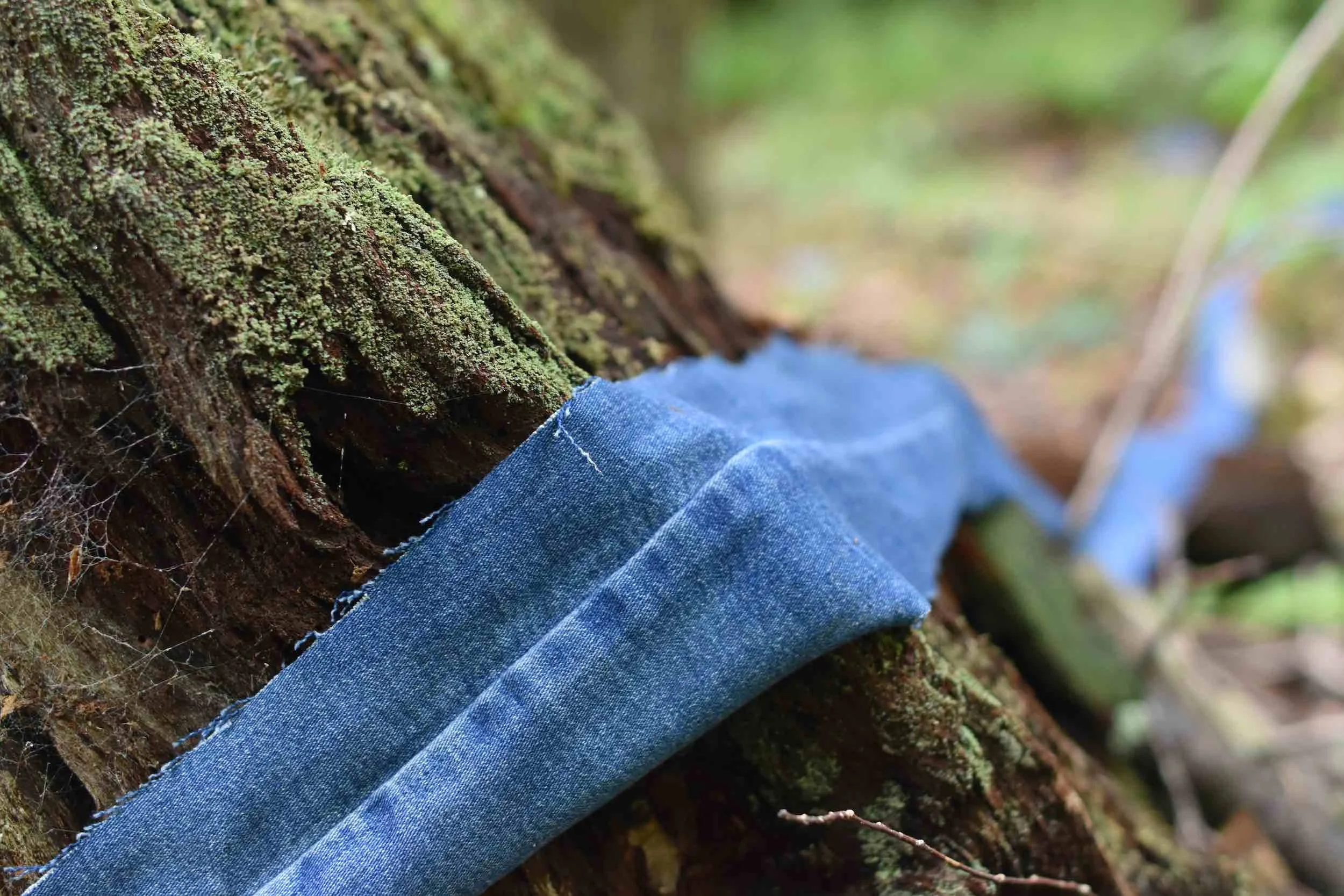 Leave No Trace: Drop-in Workshop - Mon, Sep 21