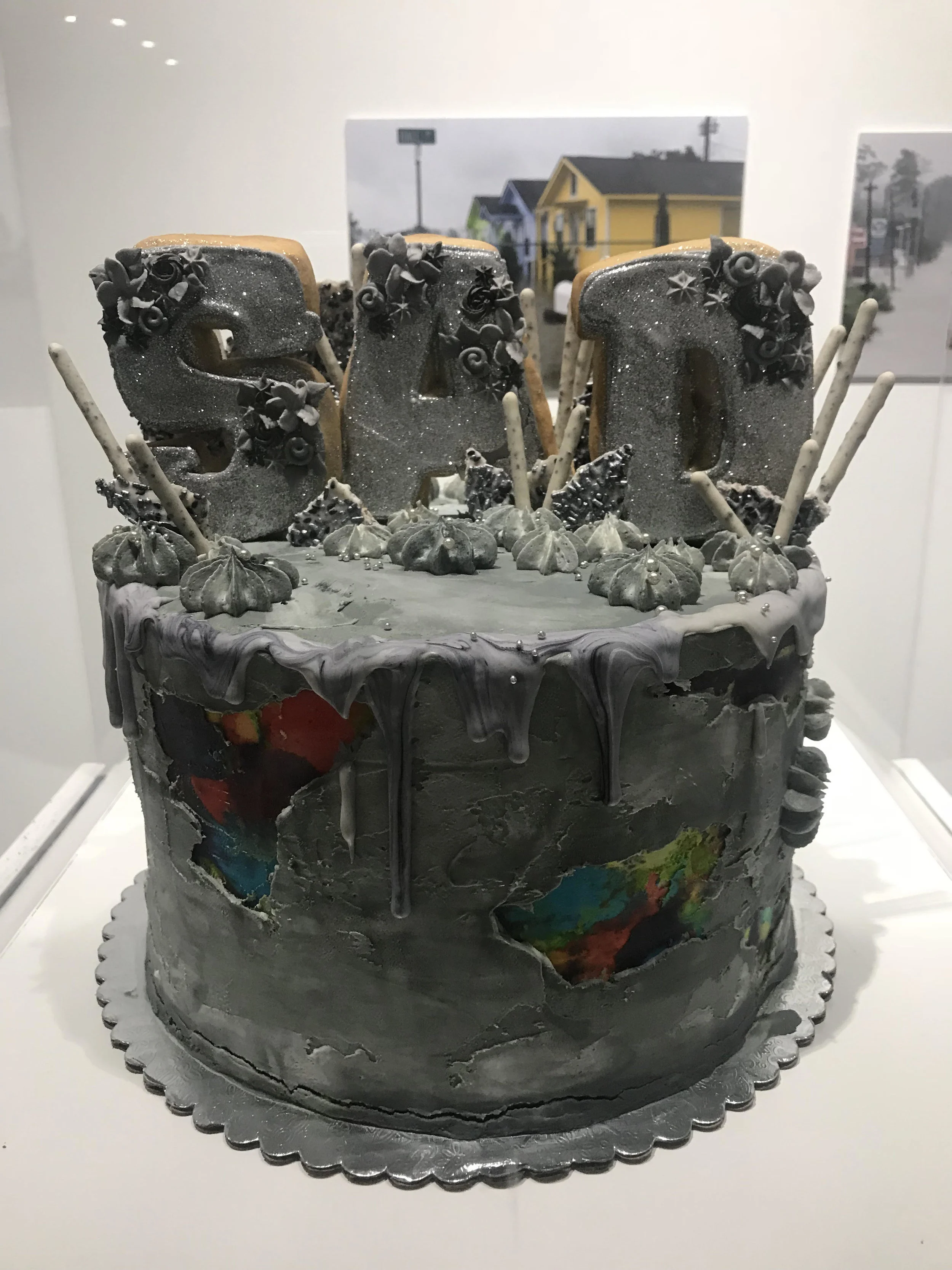 One of the professionally baked cakes for auction