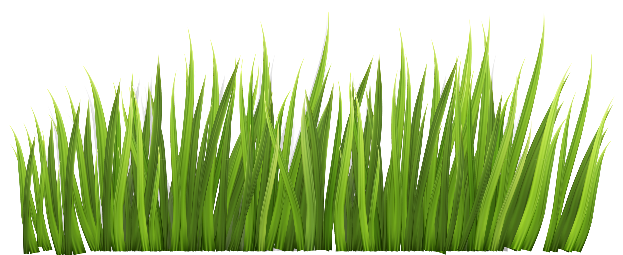 grass-blades-2.png