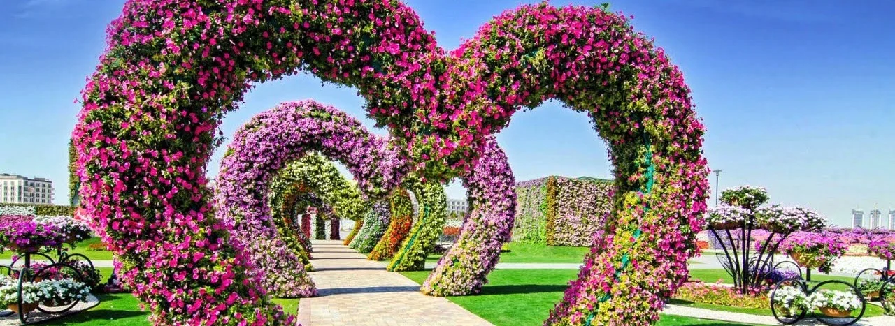 flowers-heartshaped-dubai.jpg