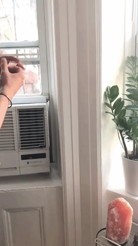 Geckskin GIF-source (1).gif