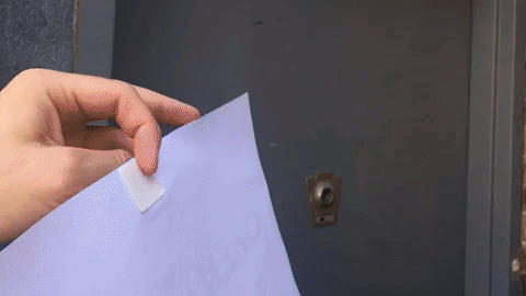 Geckskin GIF-source (6).gif