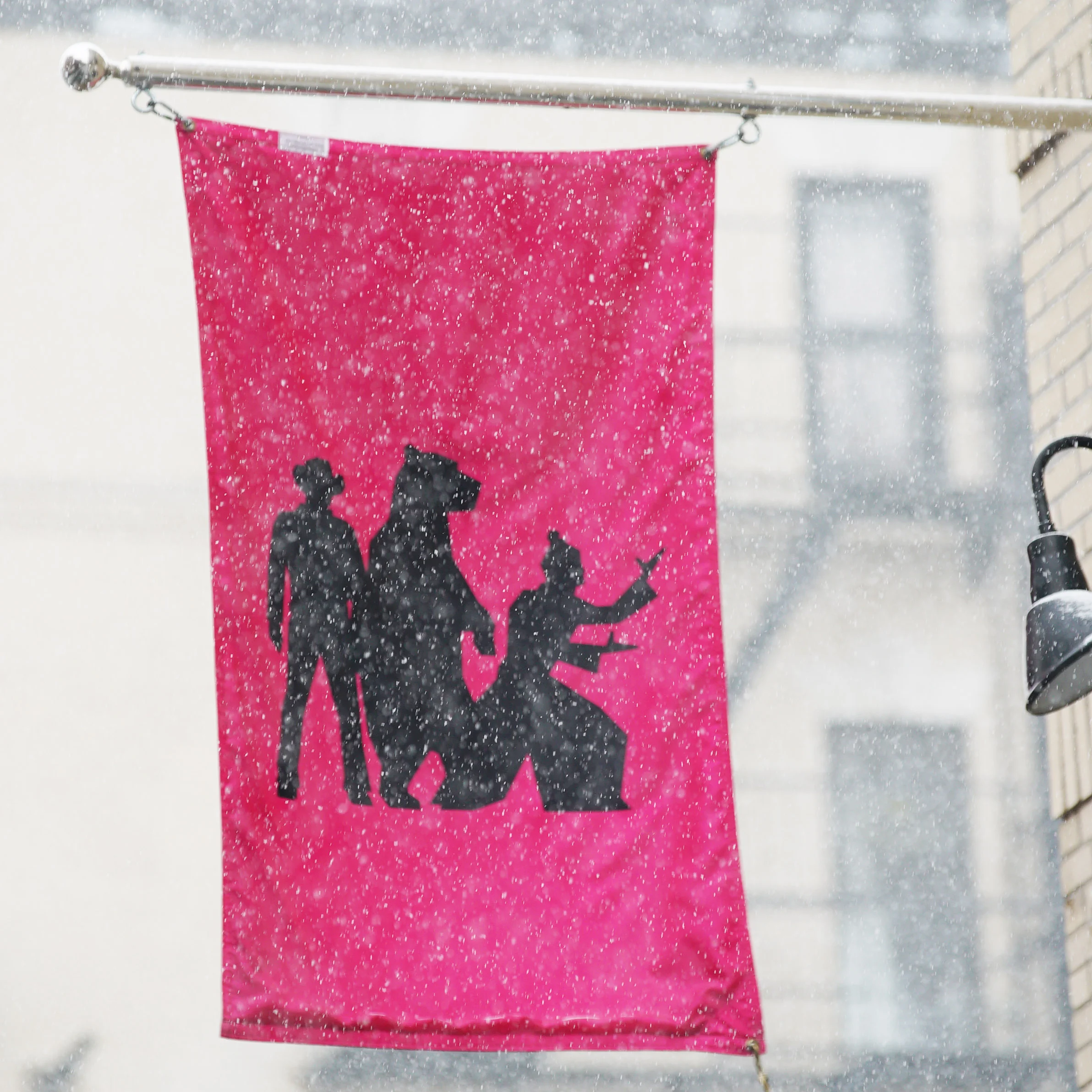 cbn snow flag.jpg
