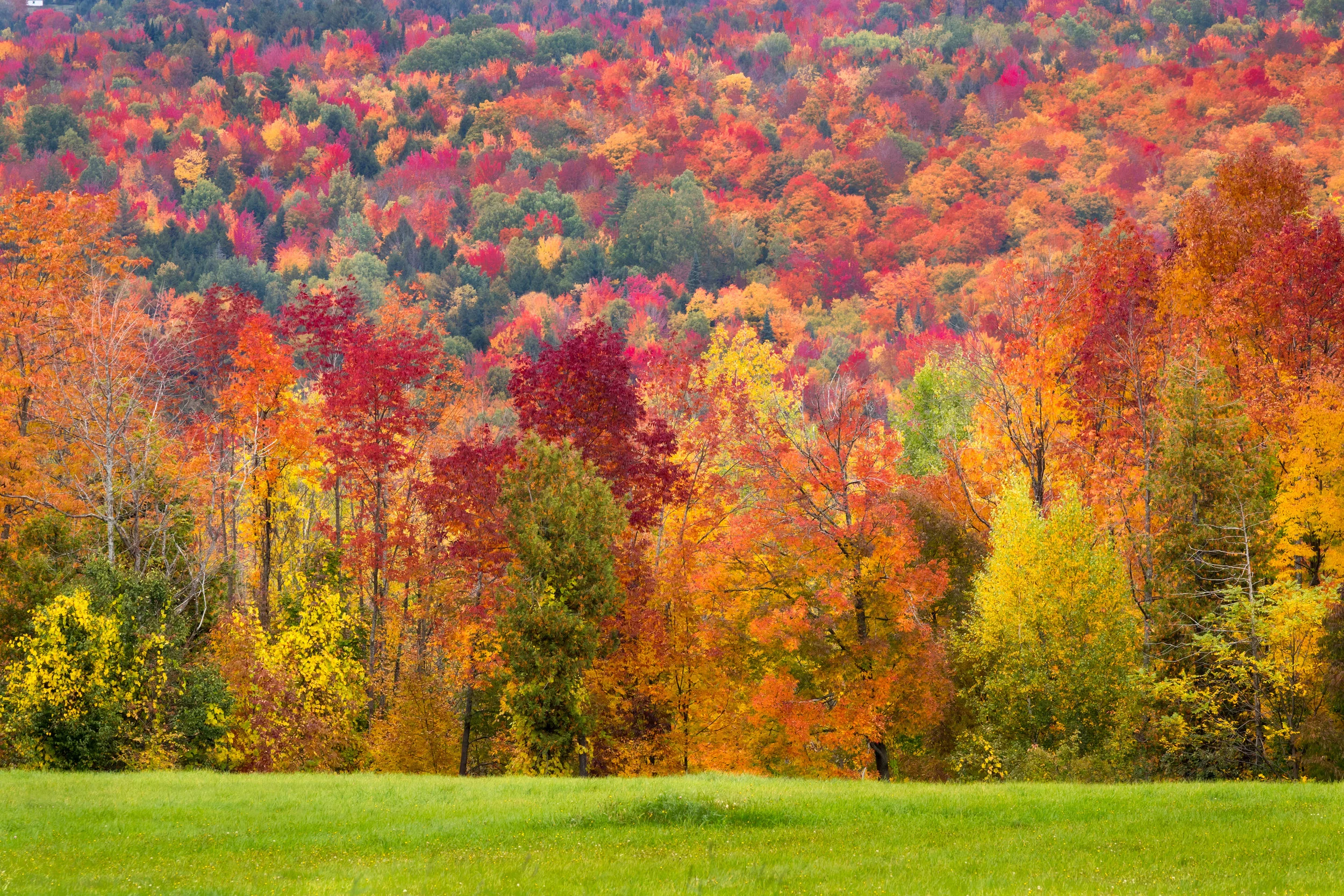 It was autumn and. Seasons after fall. we call it autumn.