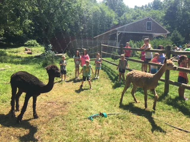 Summer Camp Soulshine Farm