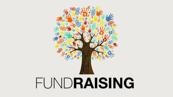 Failure of Chief Fundraisers Puts Charities at Risk By Holly Hall