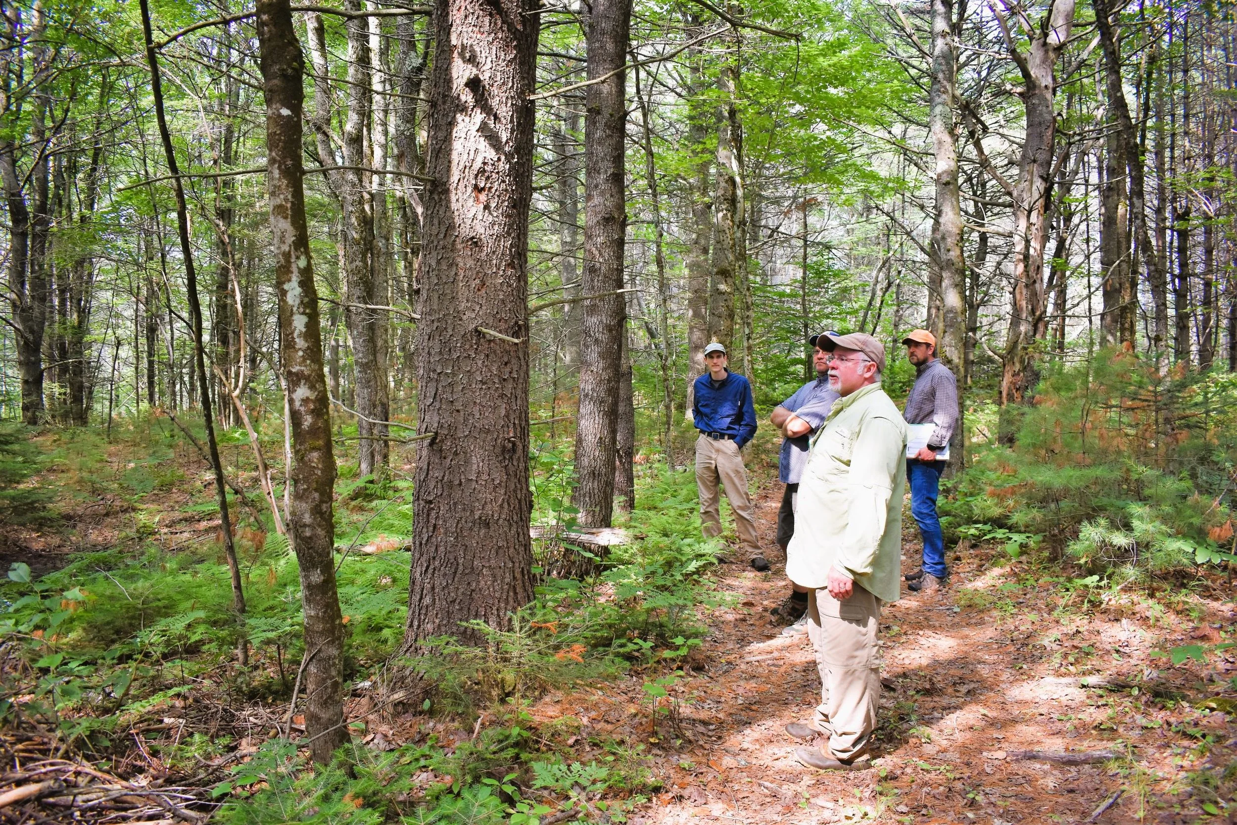 NRCS for Woodland Owners