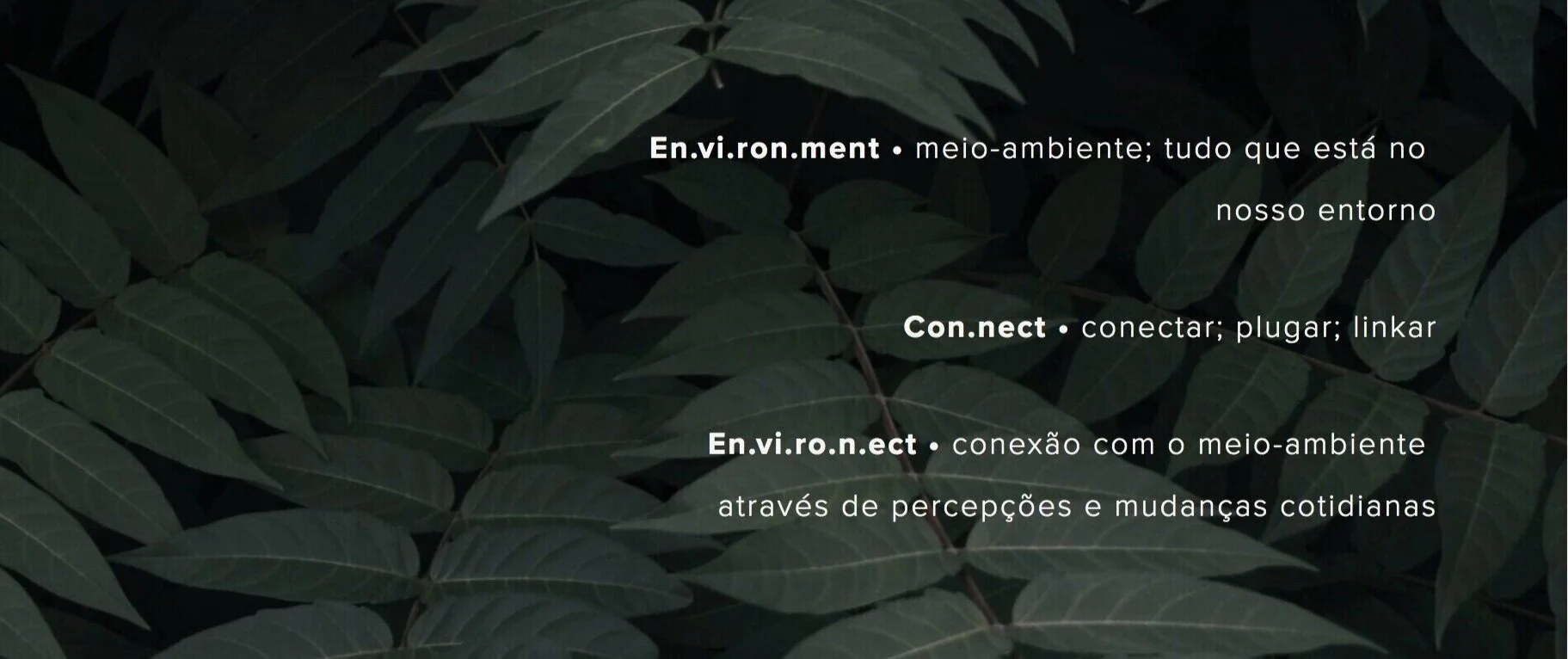 environ.jpg