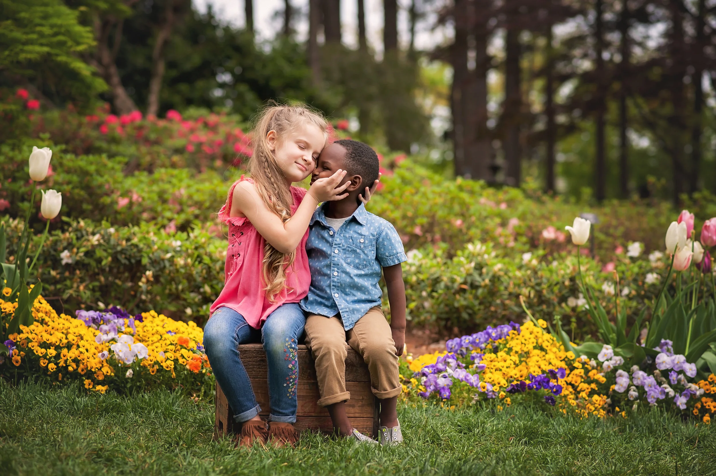 Apex Family Photographer 6.jpg