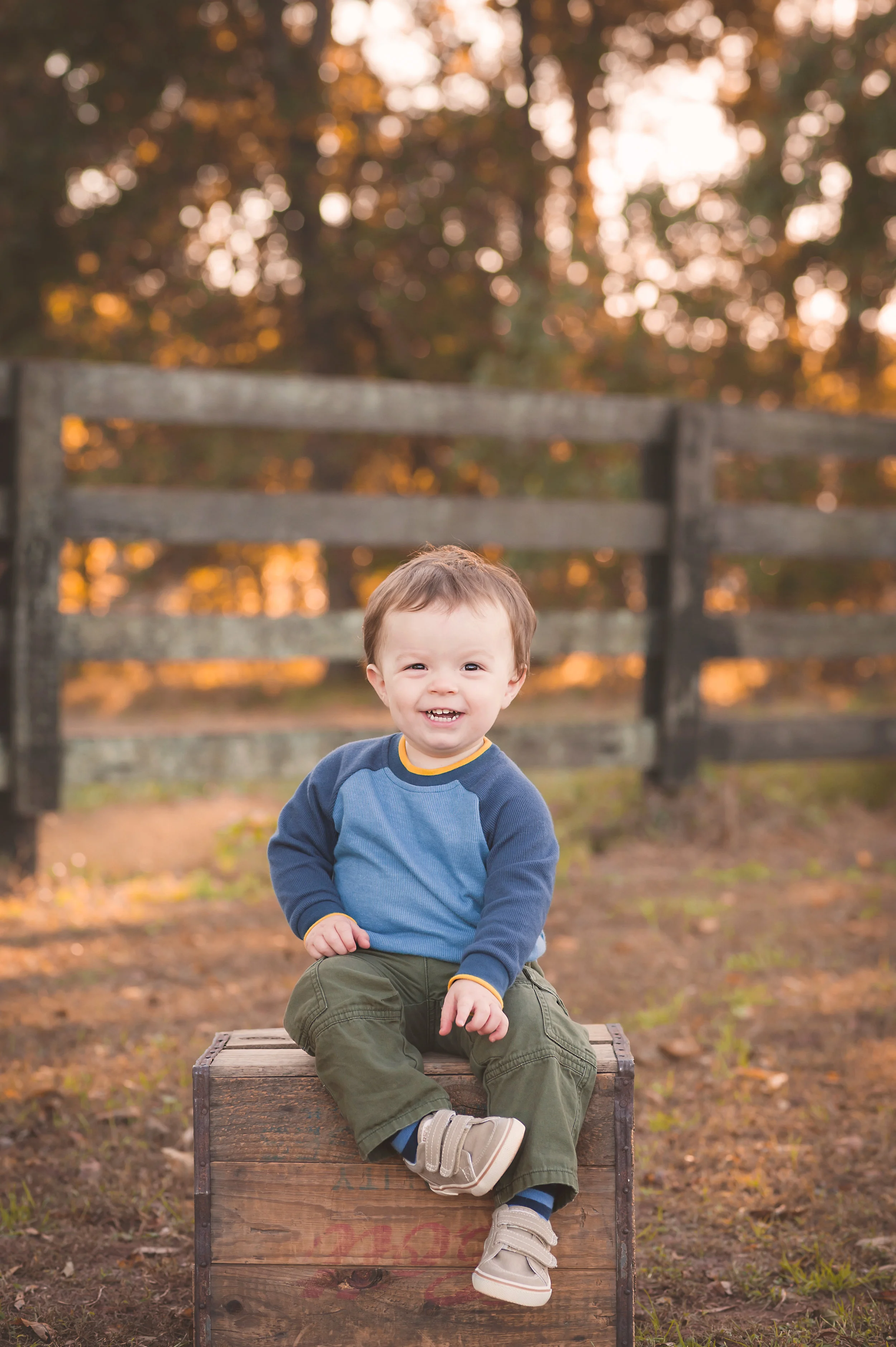 Apex Family Photographer8 copy.jpg