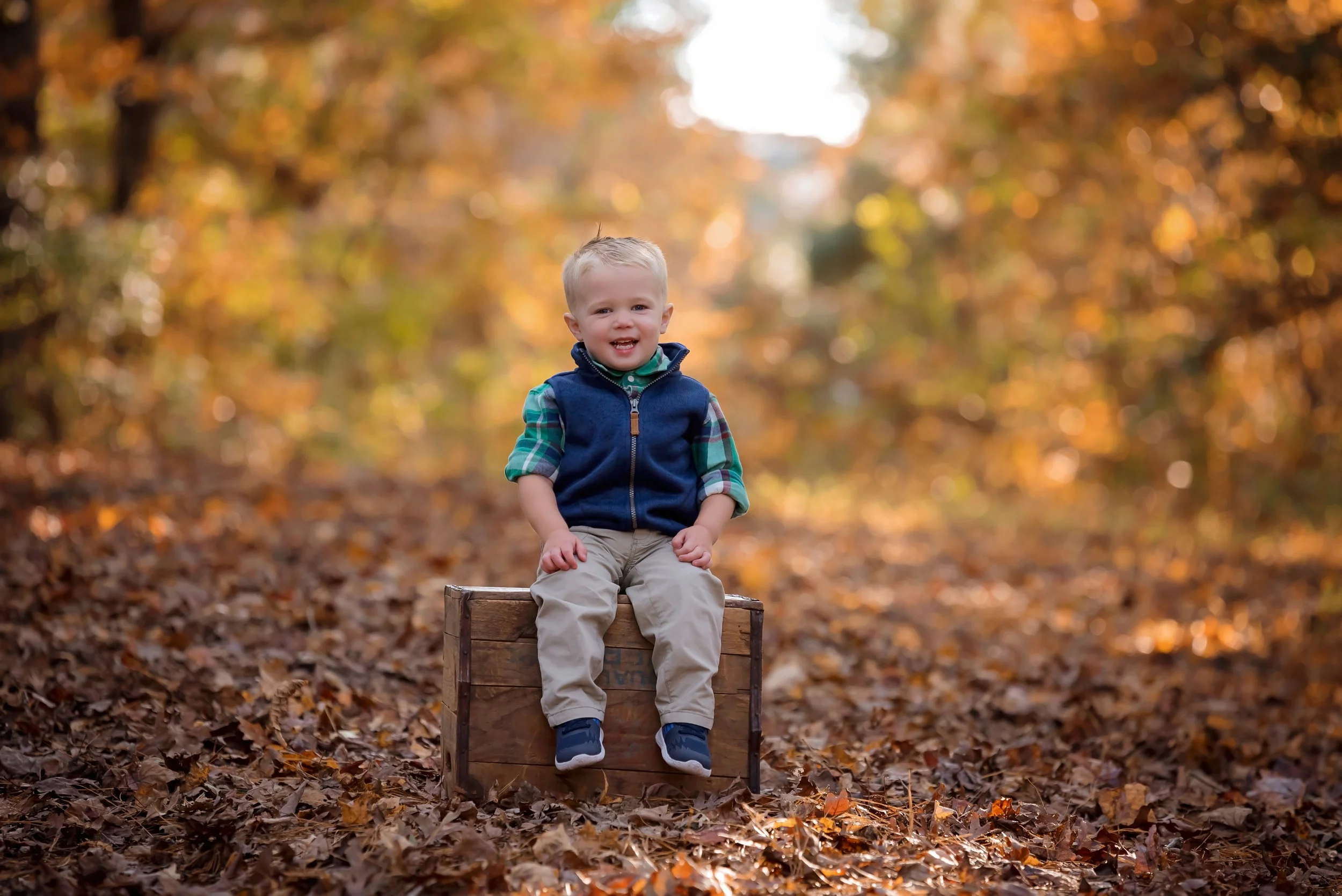 Apex Family Photographer 10.jpg