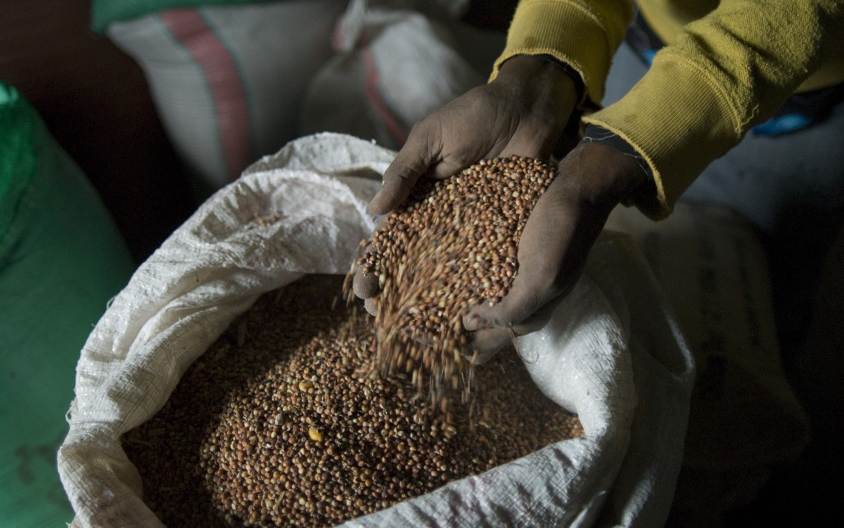 Ethiopia-grain-1220x763.jpg