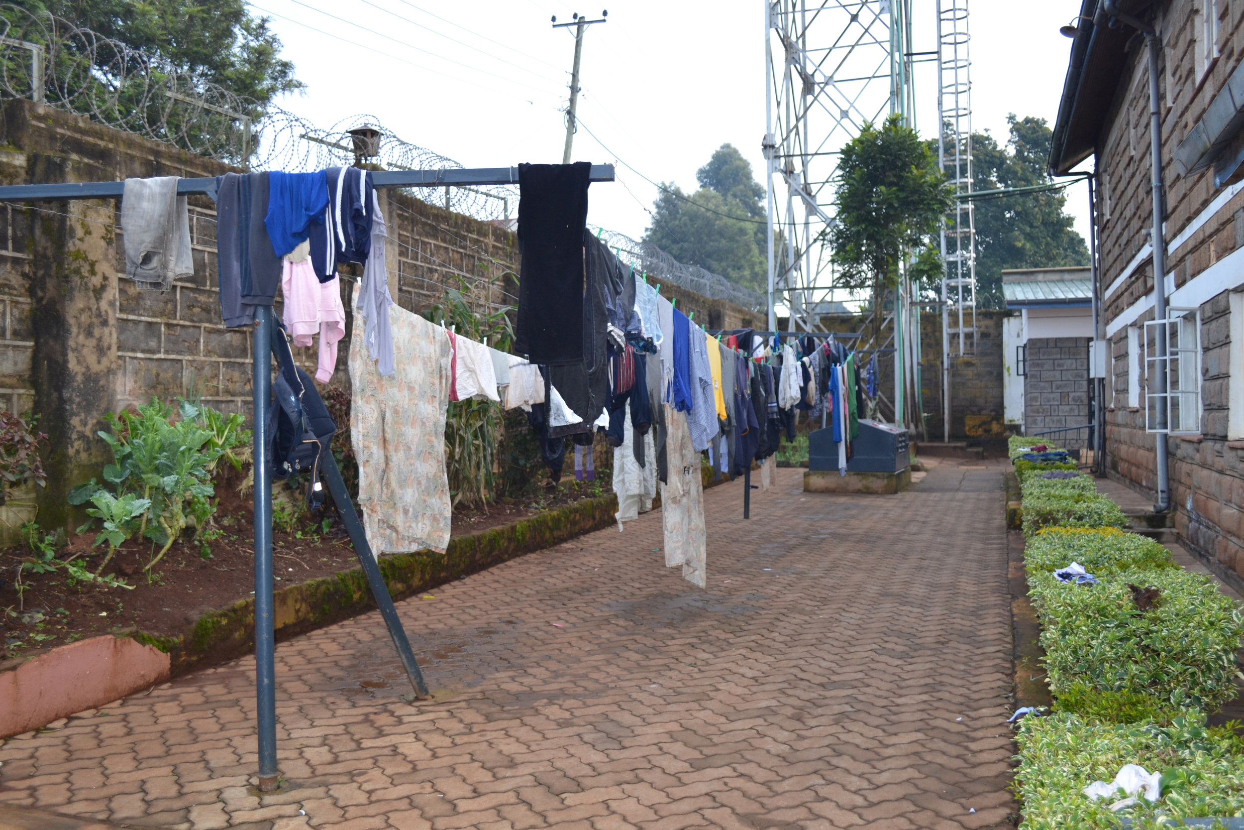 clothes line copy.jpg