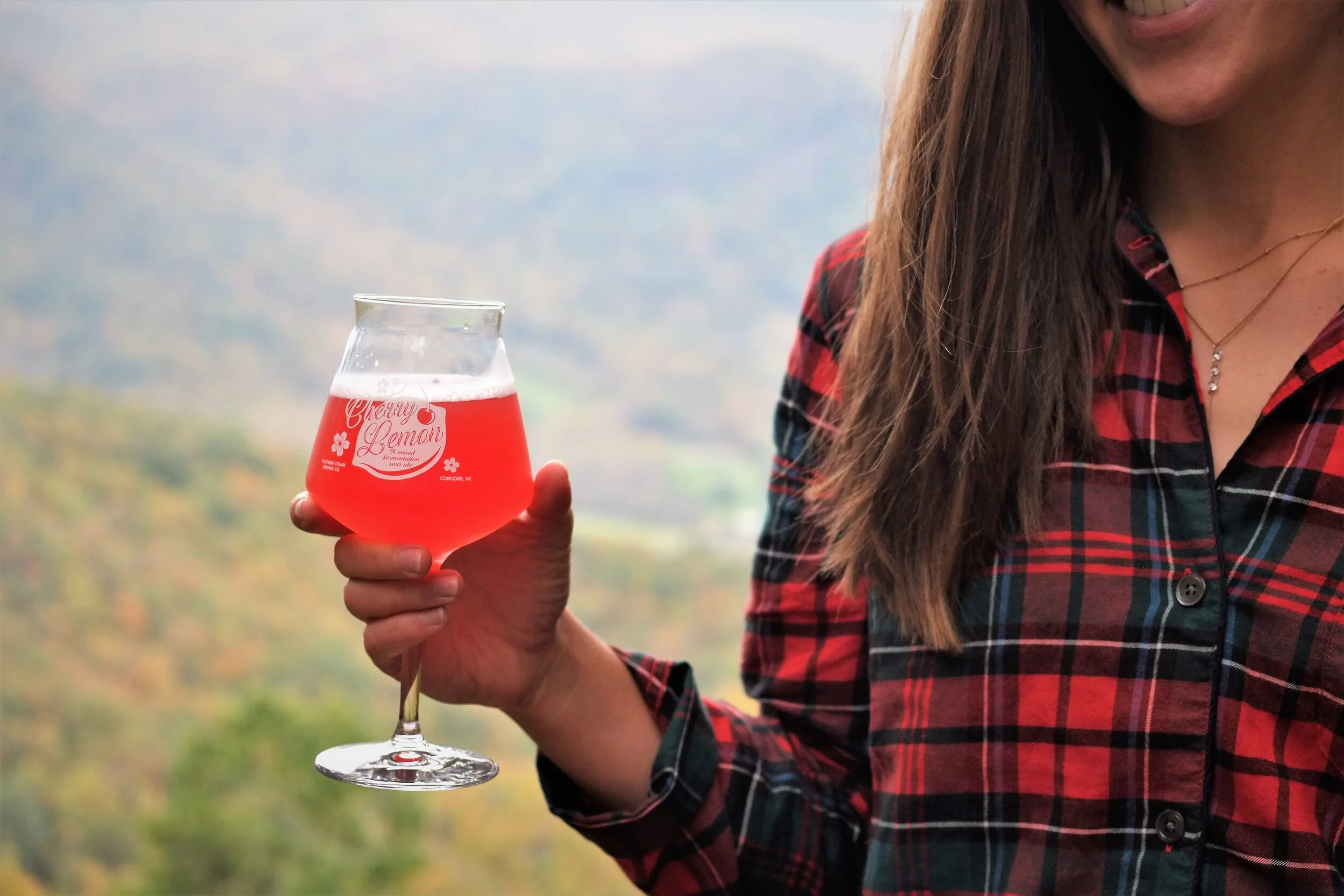 Concord — Southern Strain Brewing Company