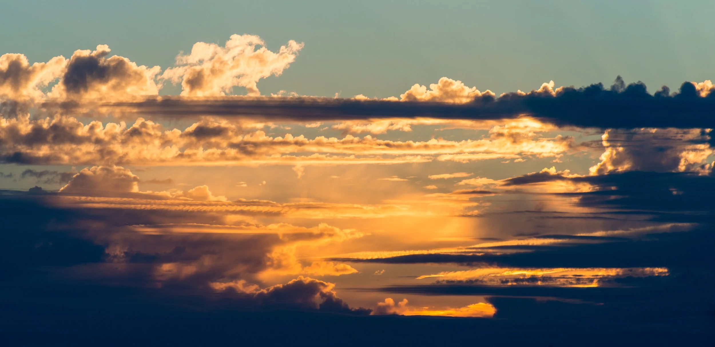 “Civil Twilight” by Jill Alexander Essbaum