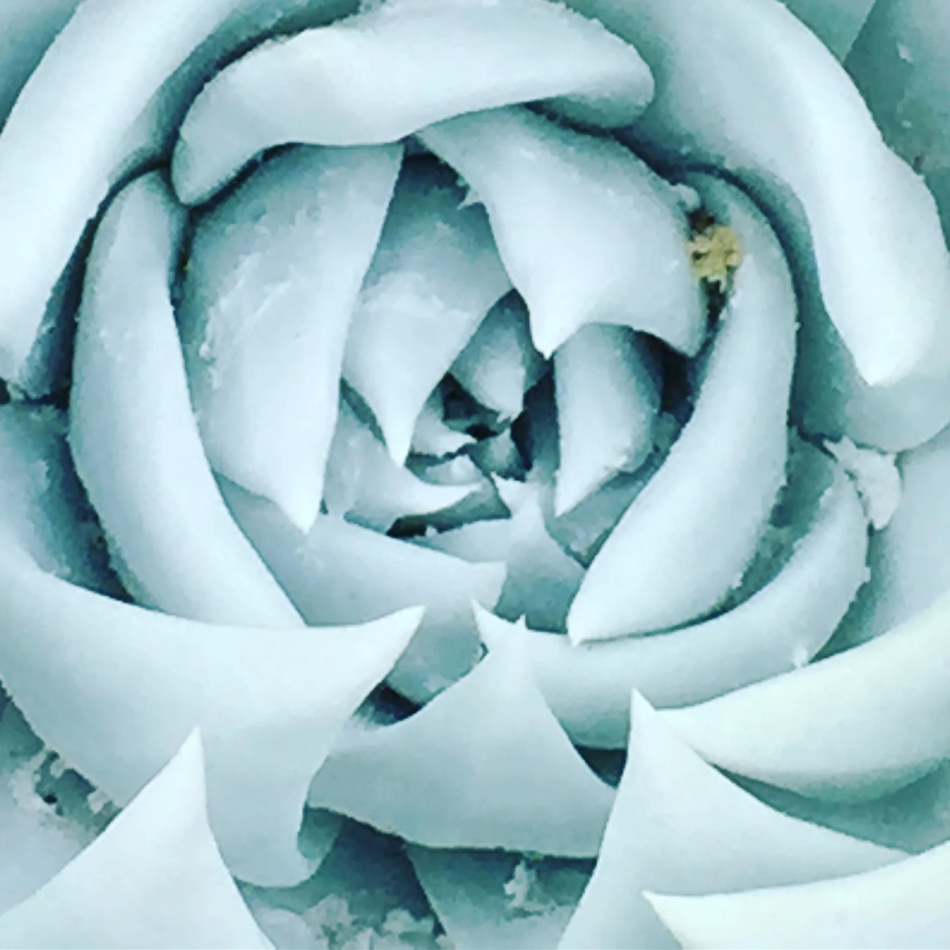 “Red Moon” by Mehnaz Sahibzada