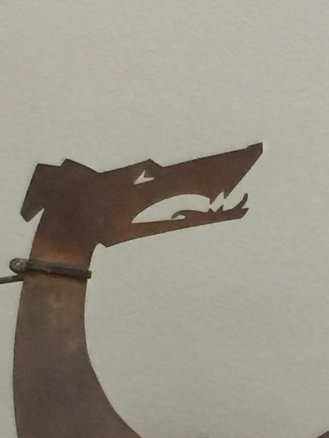 “Coyote” by Garrett Rowlan