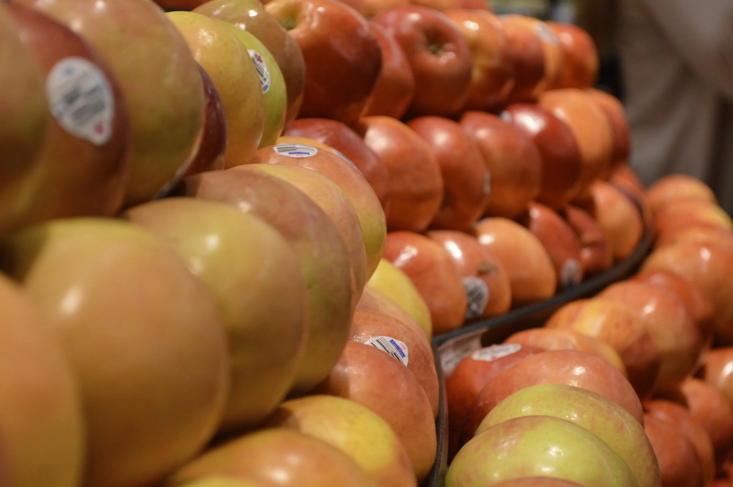 “Snow White’s Dreaming” by Sarah Blake