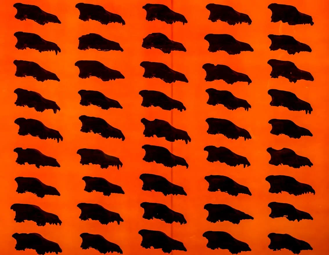 “Los Volcanes de Brea” by Lynne Thompson