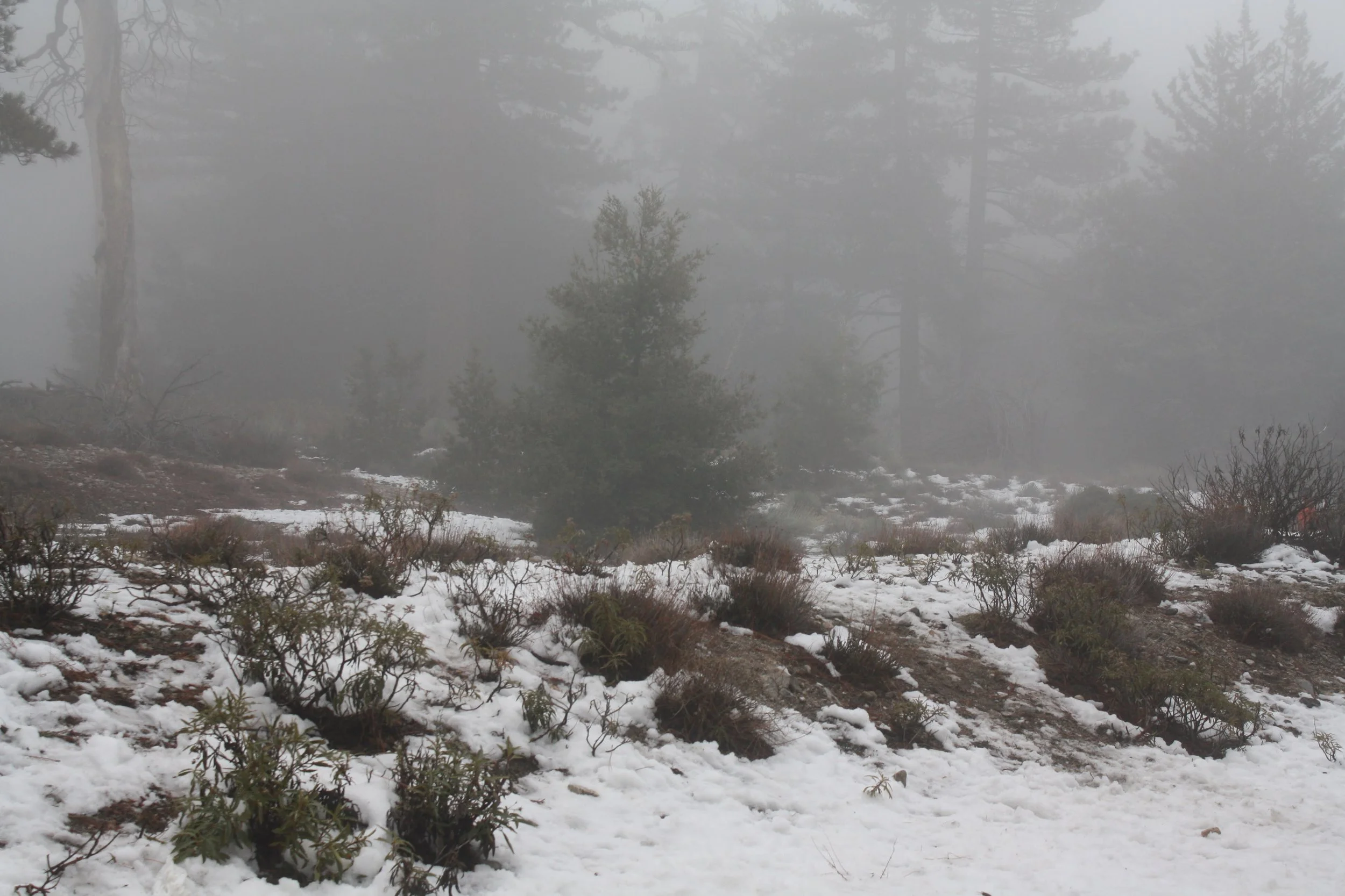 “Blótsteinn” by George Moore