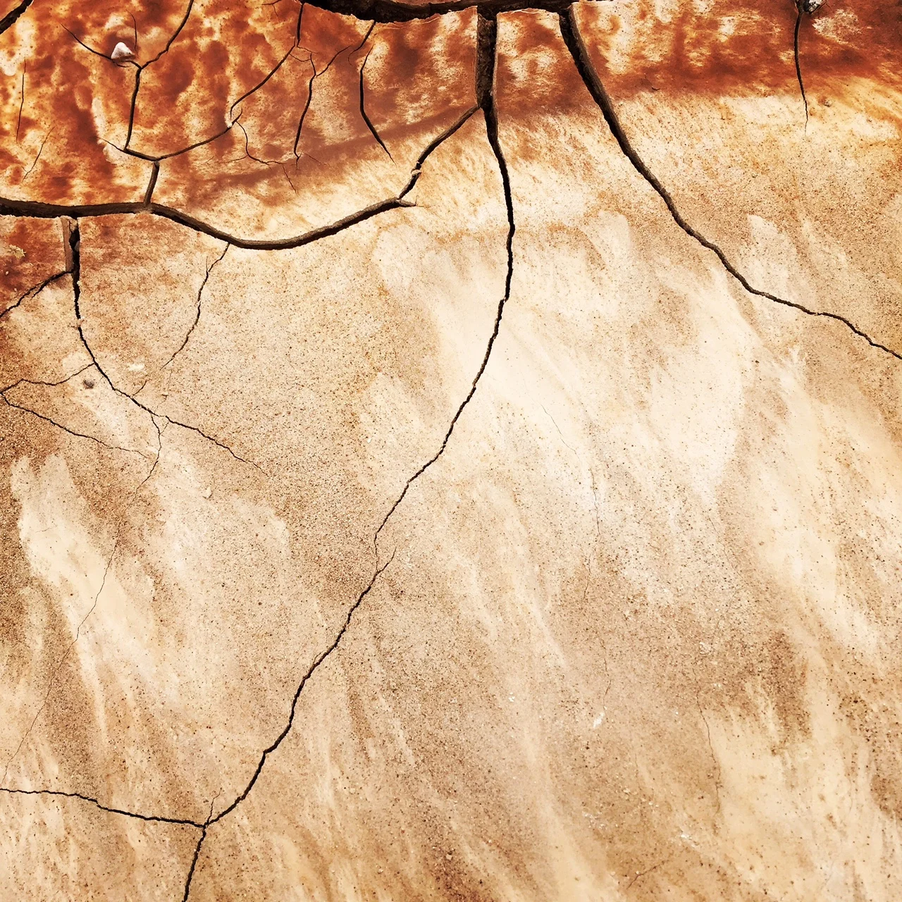 “After a Week of Shots Fired, I Go to Services” by Deborah Bacharach