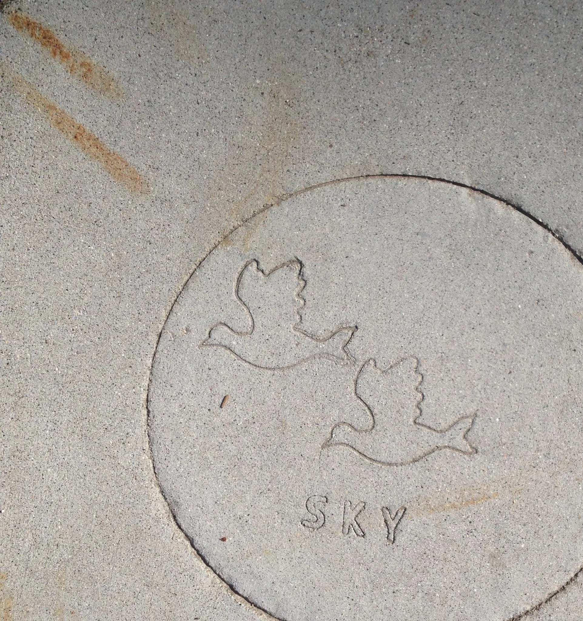 “In the Forest” by Marcia Arrieta