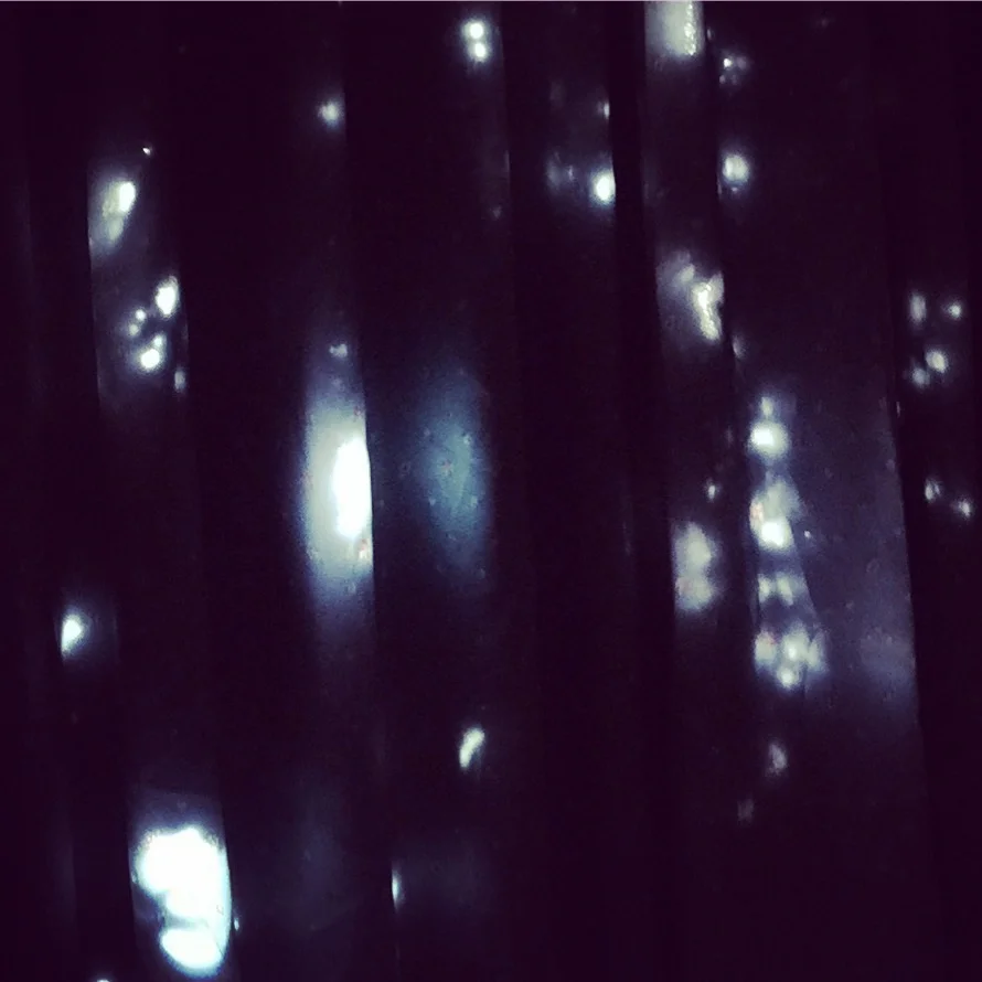 “To Paint Her Life Was One Solution” by Susan Rich