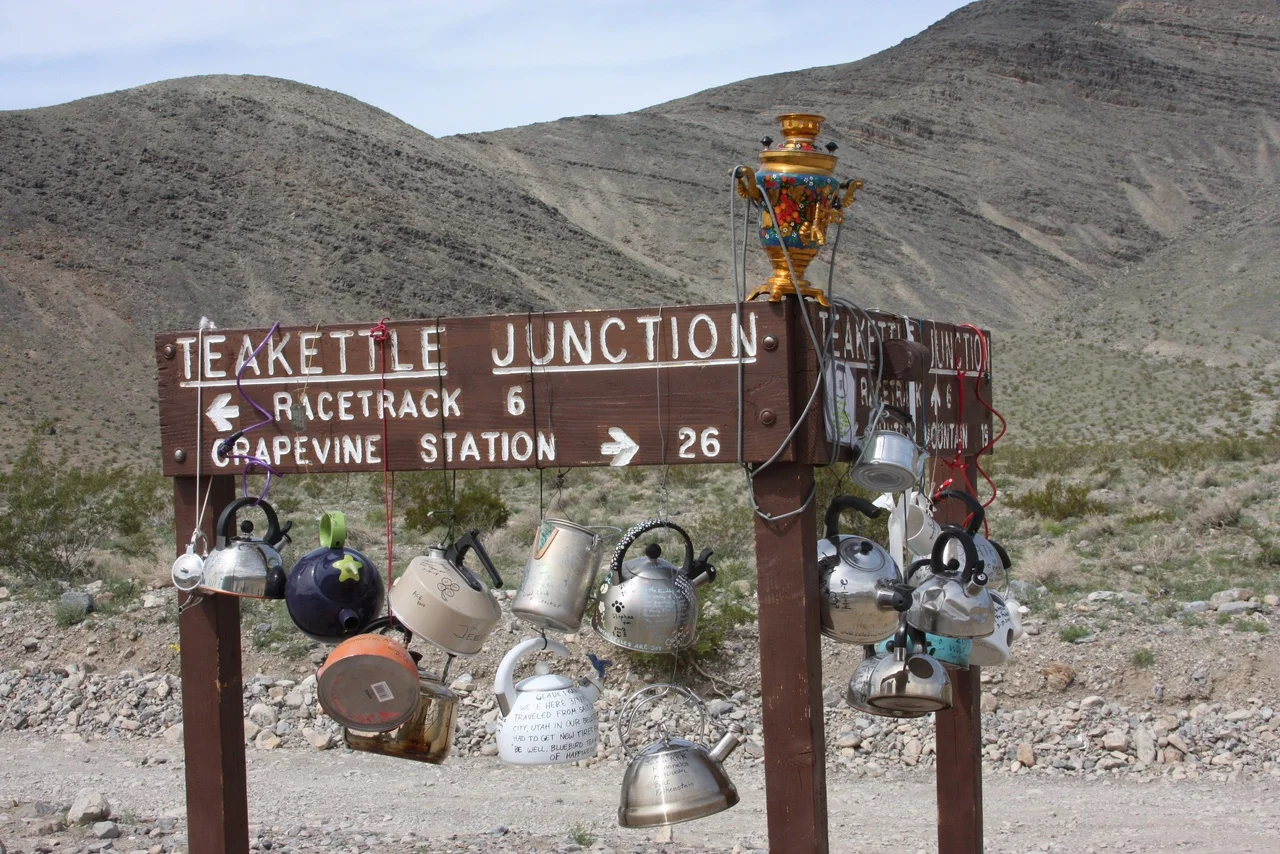 “tealeaves” by Heidi Seaborn