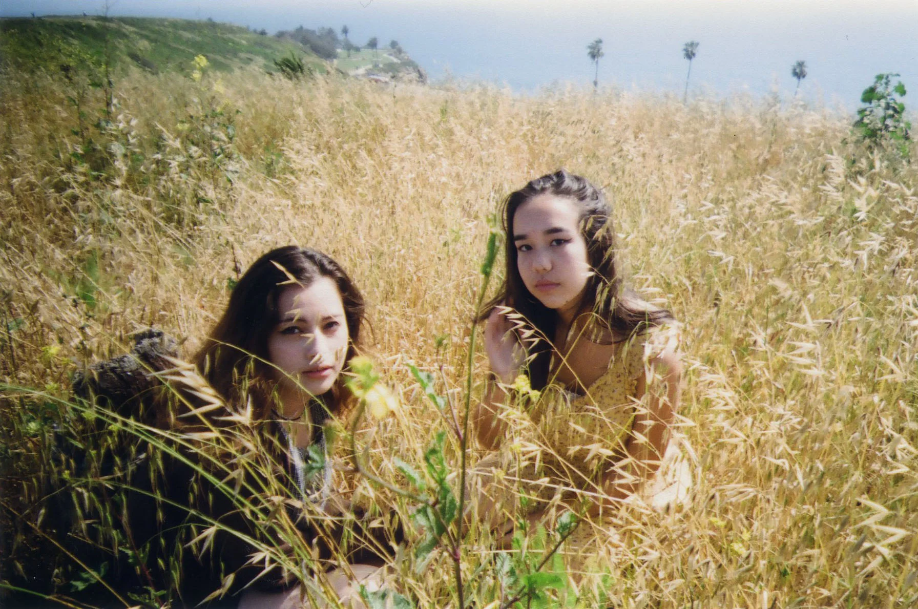 “Seating Arrangement” by Judith Terzi