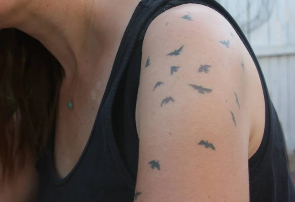 “Woodpecker Song” by Seth Michelson