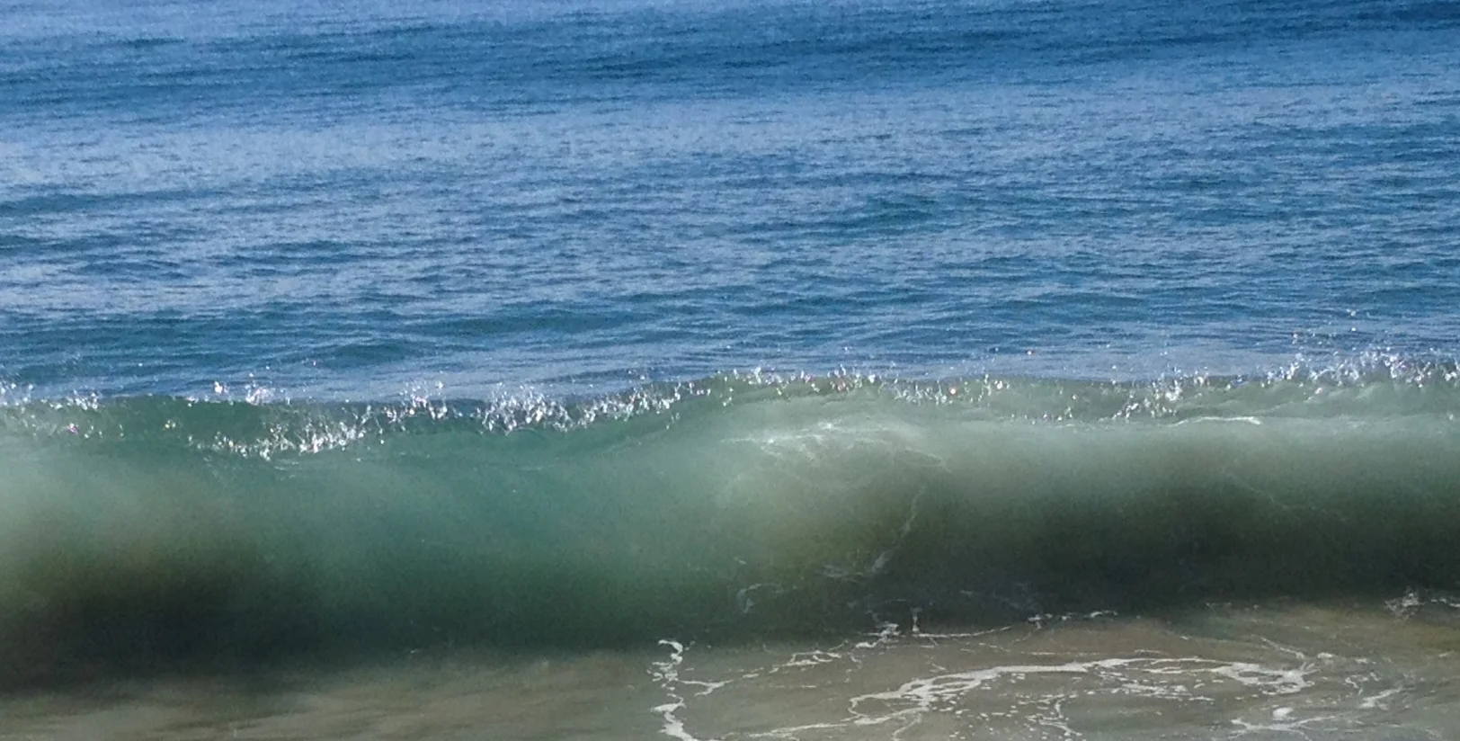 “There Were Plenty” by Naoko Fujimoto