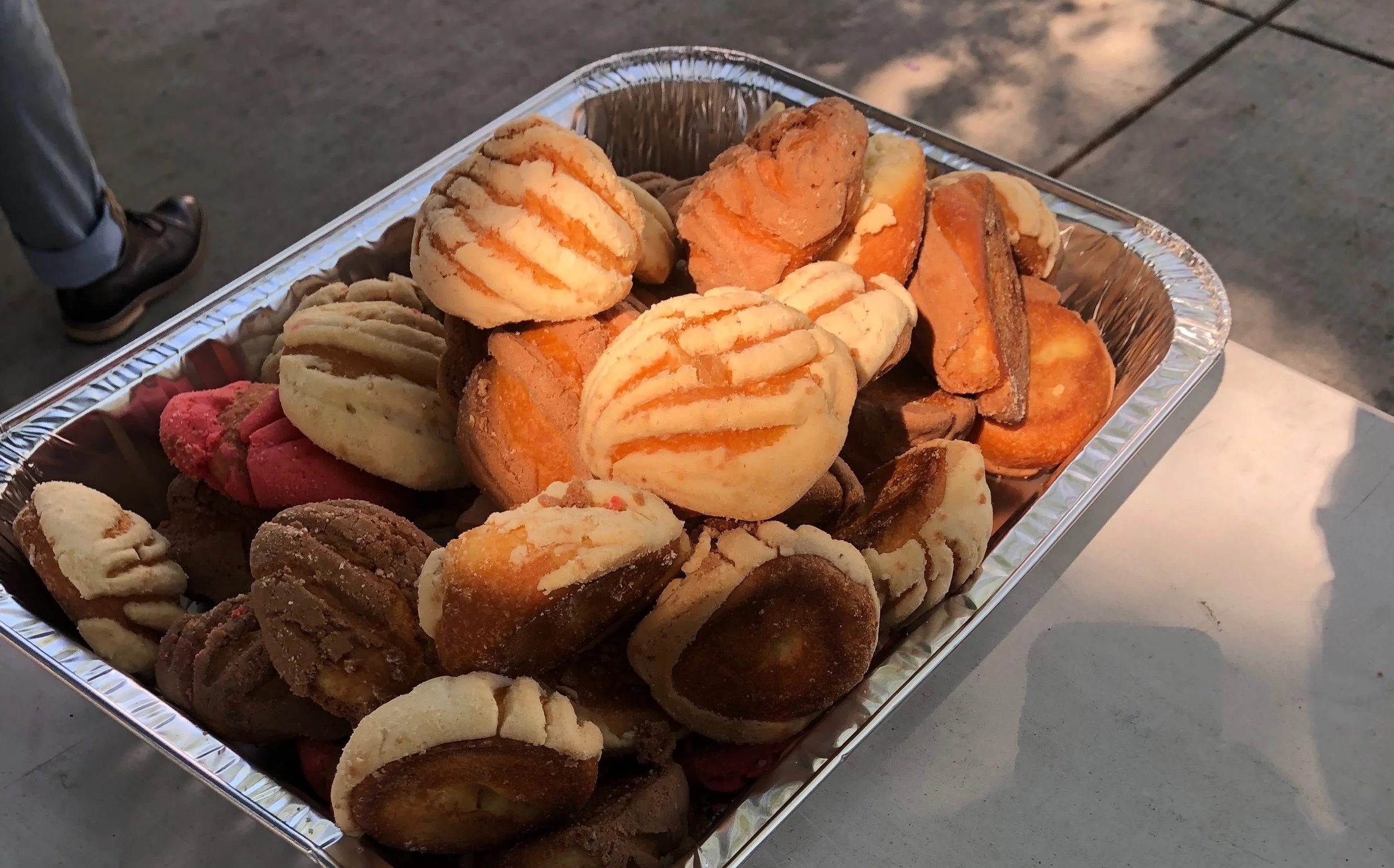 "Concha" by Angela Narciso Torres