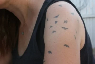 woodpecker-song.jpg