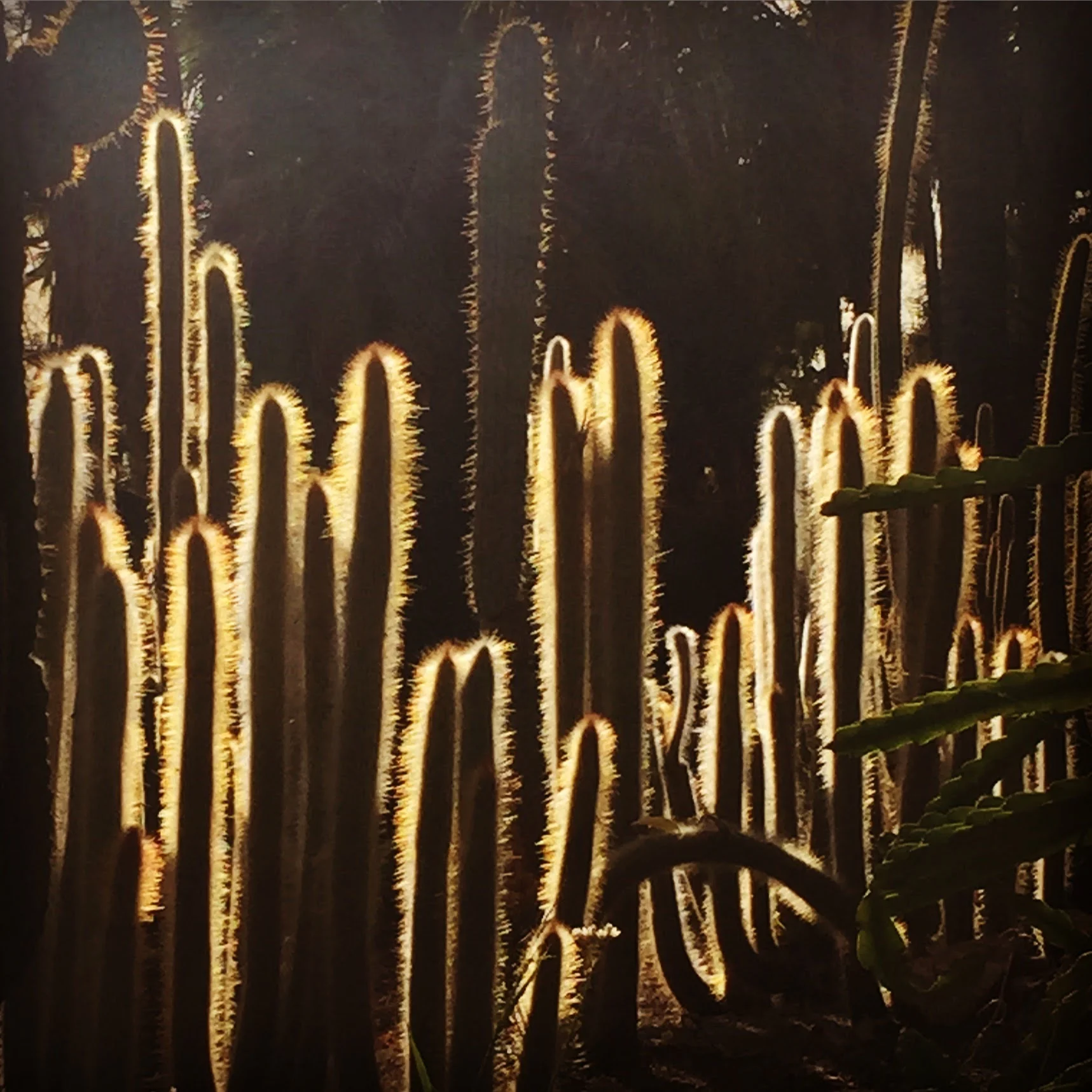 Michael Schuster Childs Homily .jpg