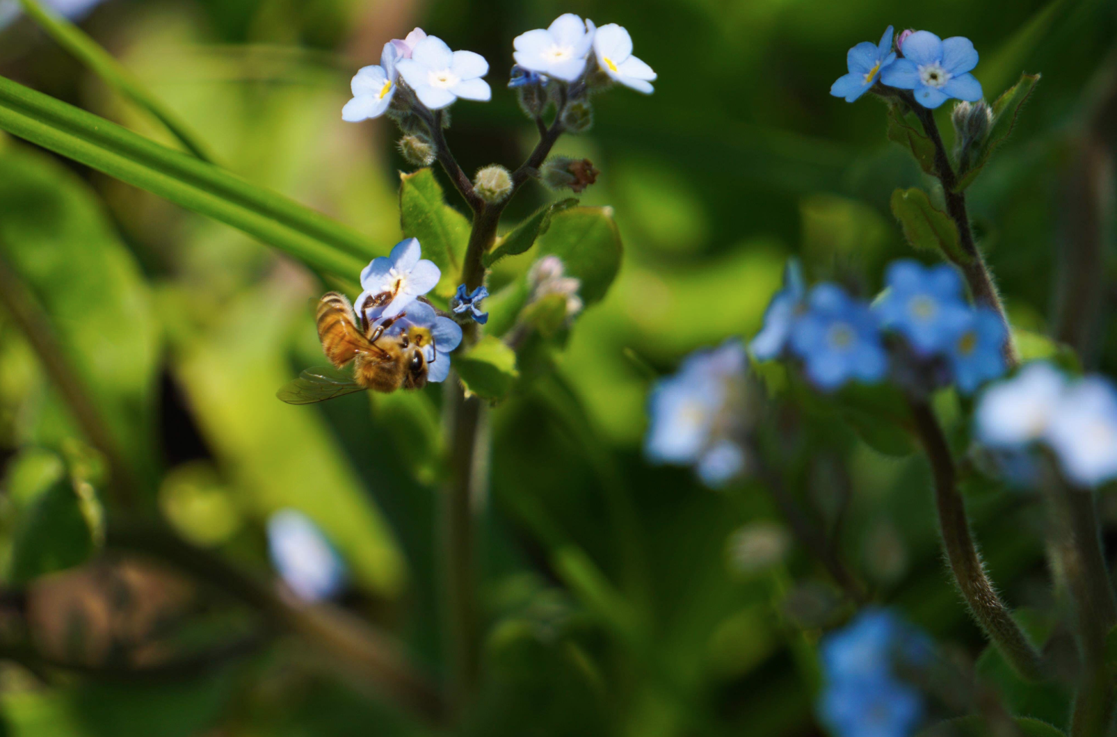 Screen Shot 2019-04-26 at 2.20.29 PM.png