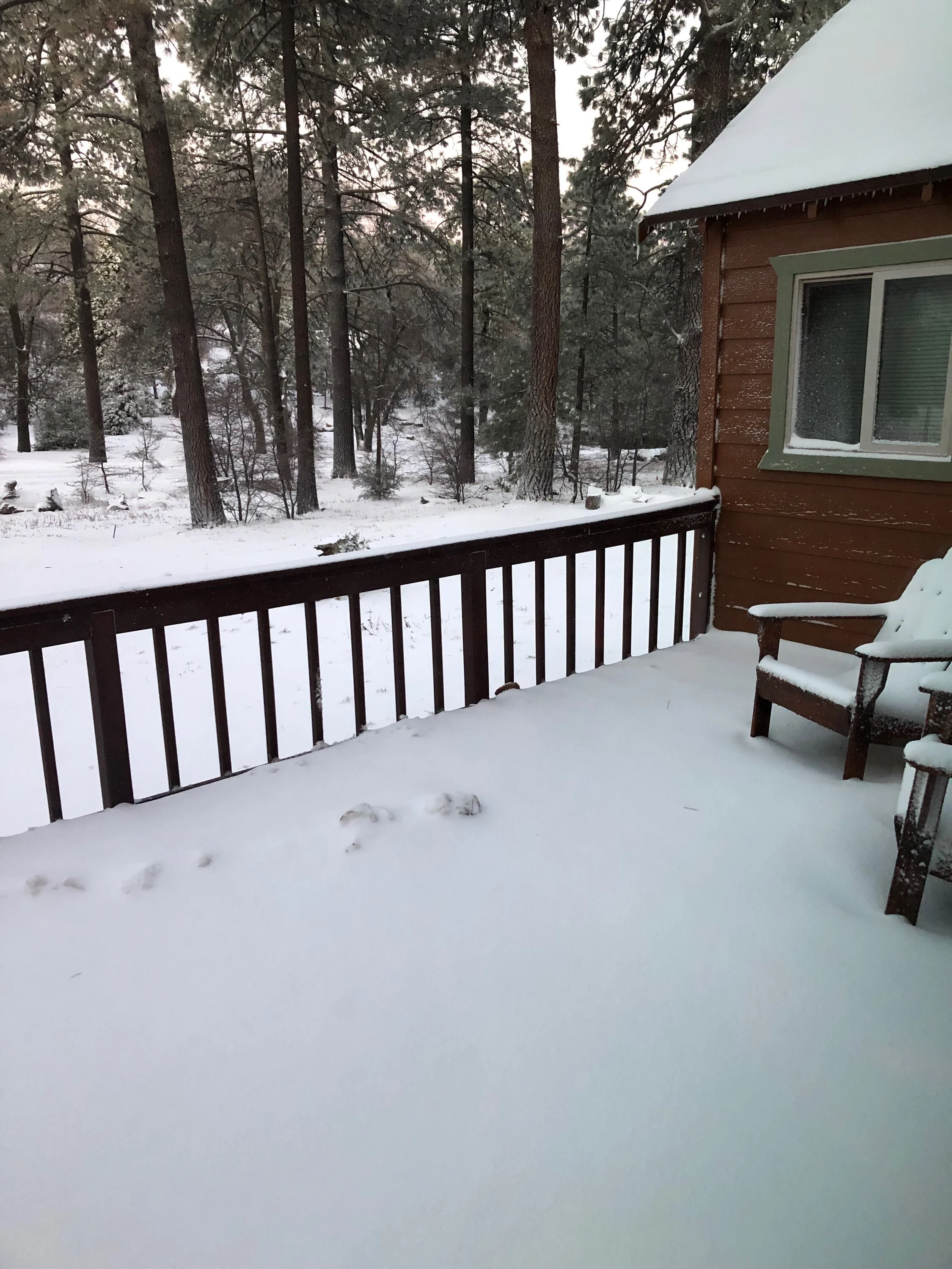 Abdomen Cadabra staff.jpeg