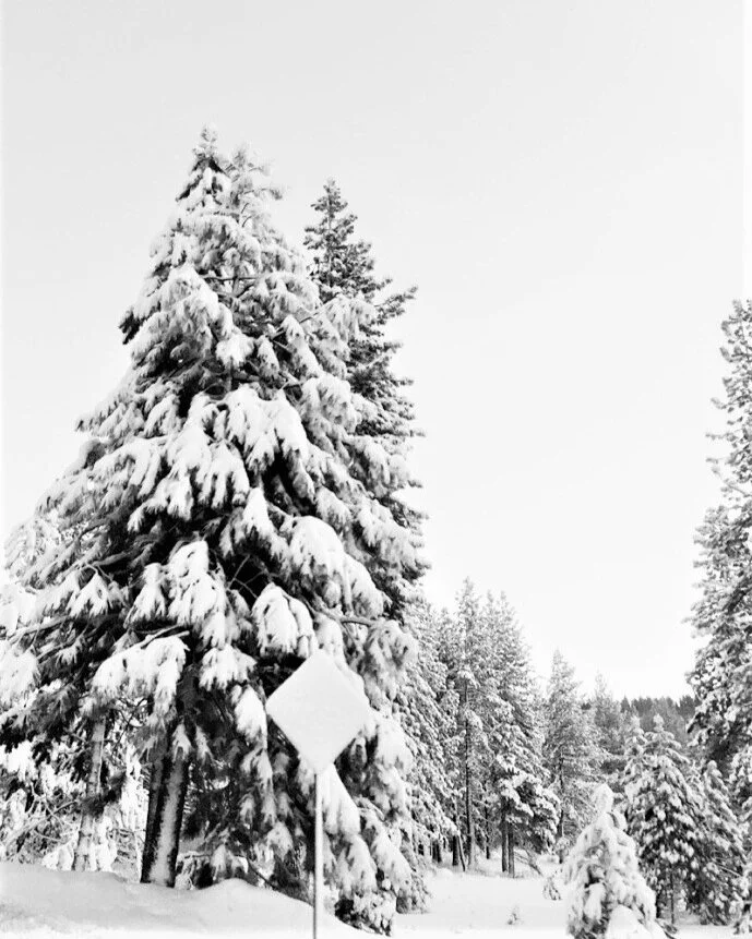 "[The soaring early morning a hand]" by Christer Boberg