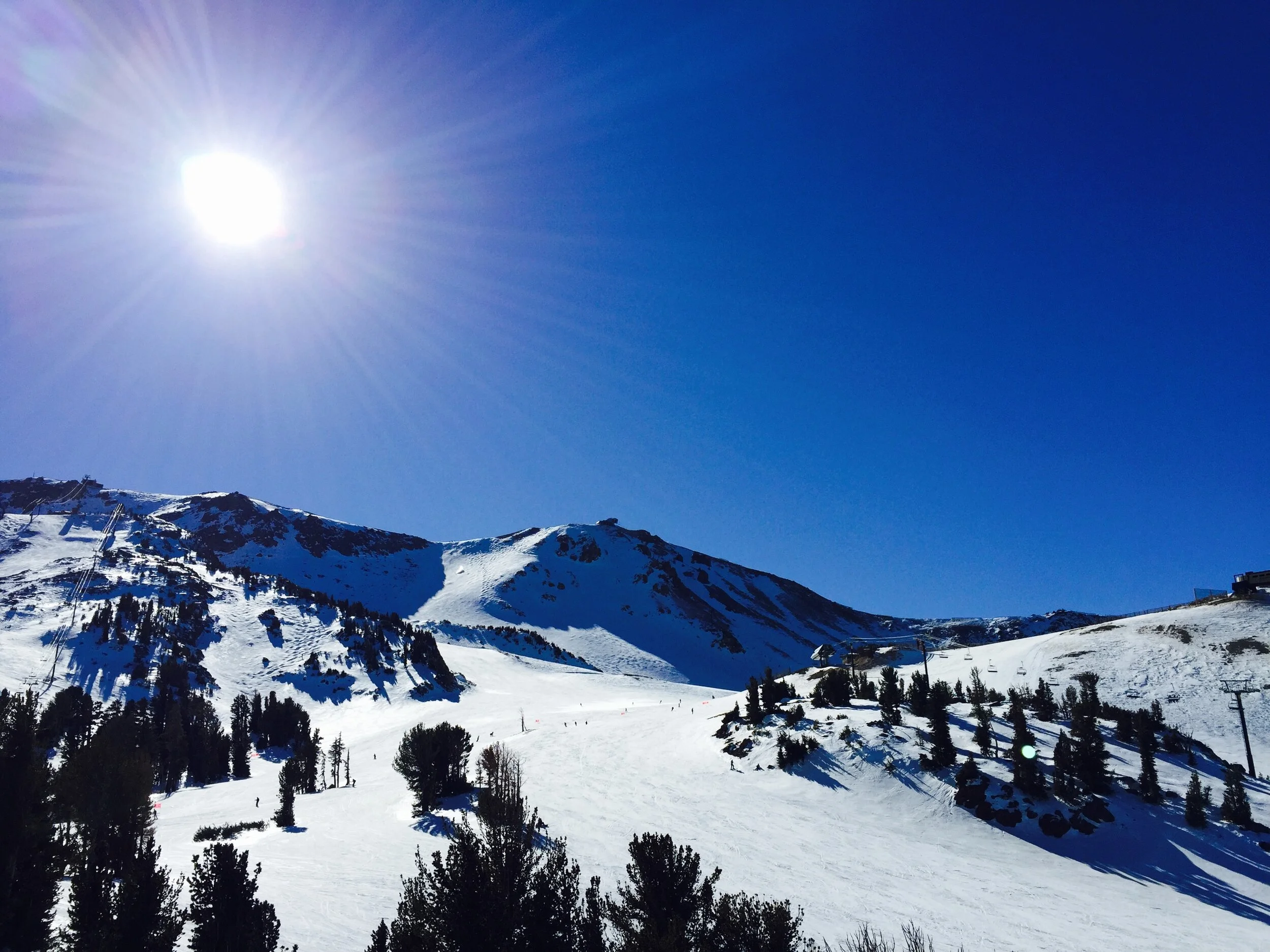 "Thief" by Romana Iorga