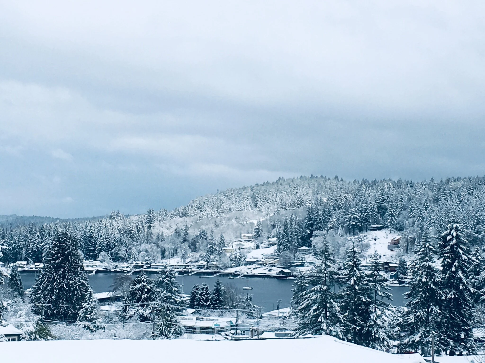 "For A, On Deck of an Arctic Cruise Ship" by David Spicer