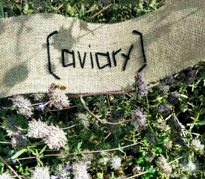 "'They Are So Lovely, and They Cannot Get Out': A Review of Genevieve Kaplan's '[aviary]'" by Saad Alsoghair