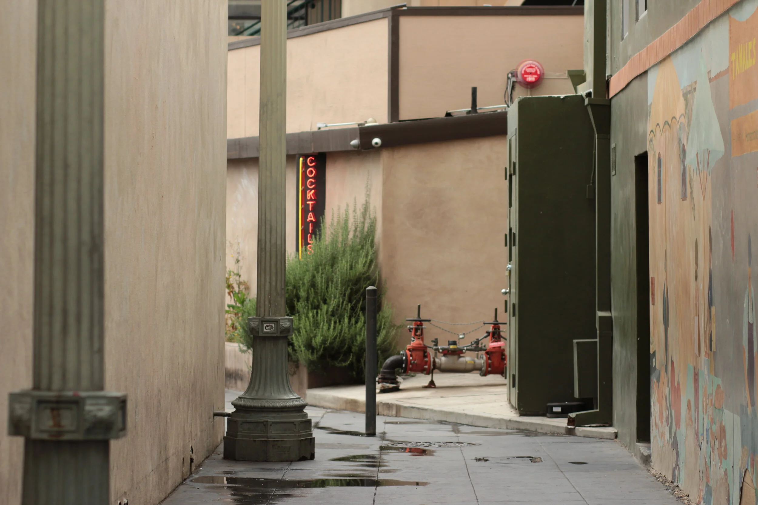 "A Bar Called Nostalgia On Route 22" by Robert Krut