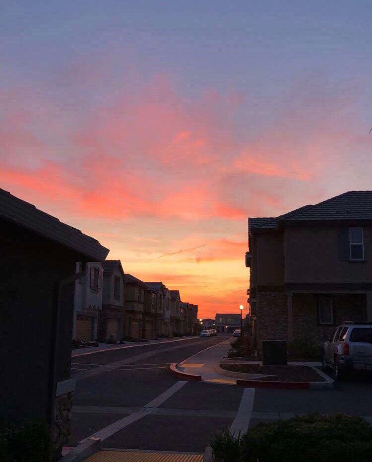 "Variations on Morning, pt. 3 (from Ljubljana Notebook)" by Frank Karioris