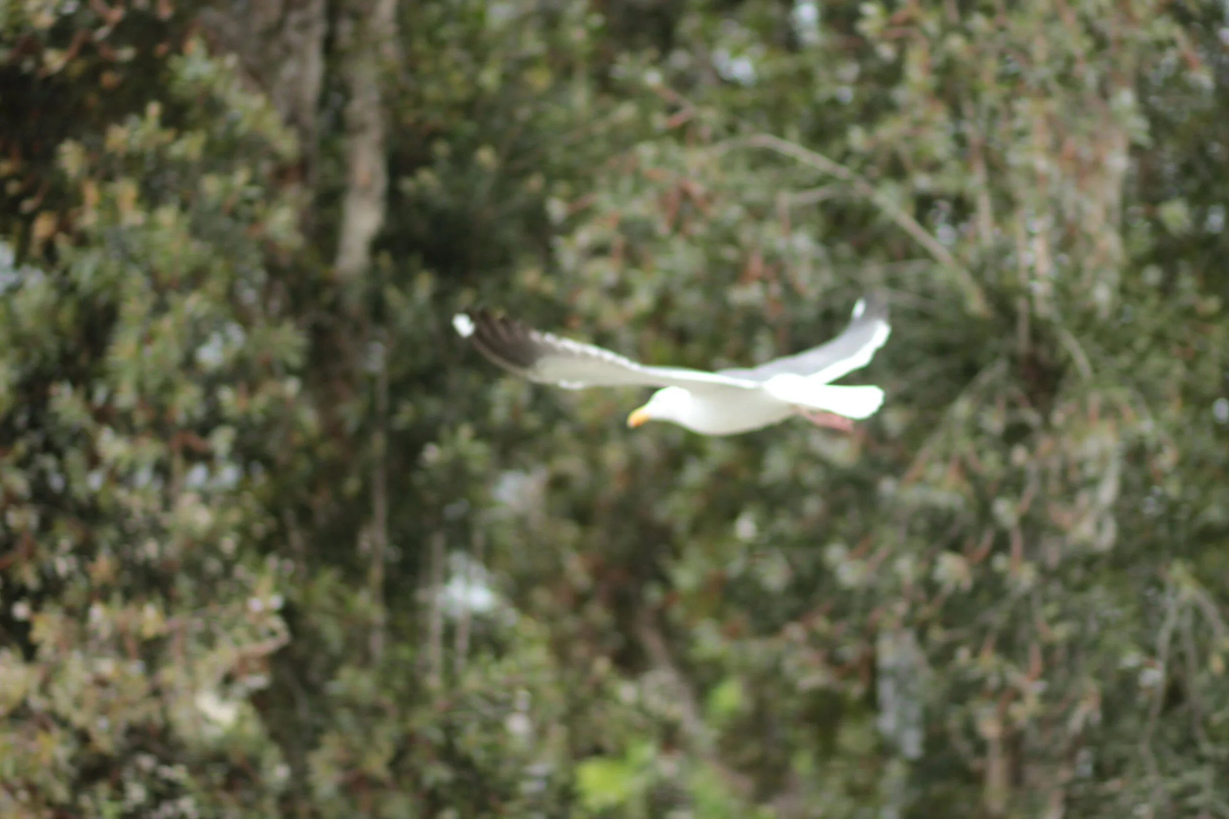 "What Mothers Do" by Natalie Marino