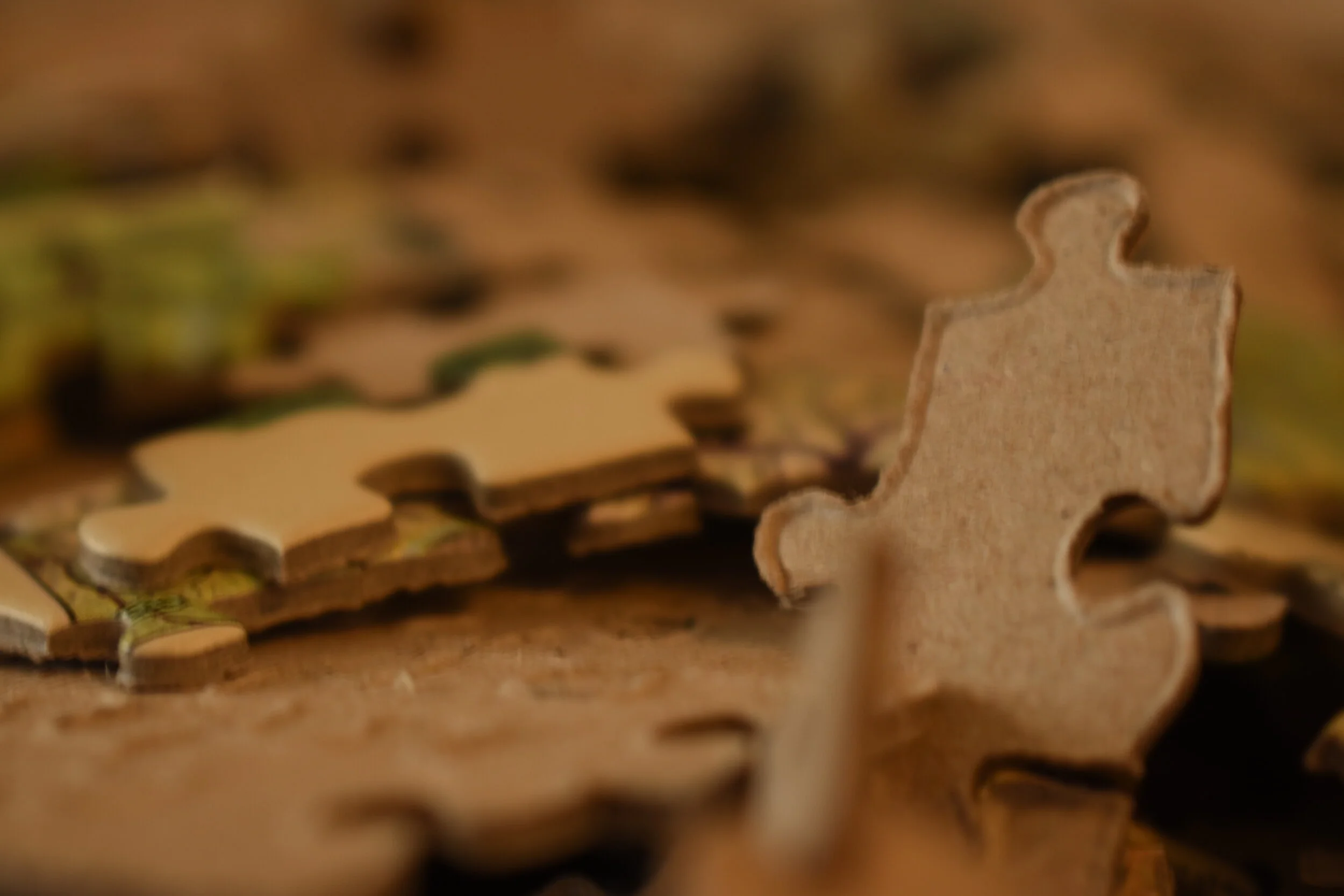 “Instruction Manual for My Future Husband” by Marissa Glover