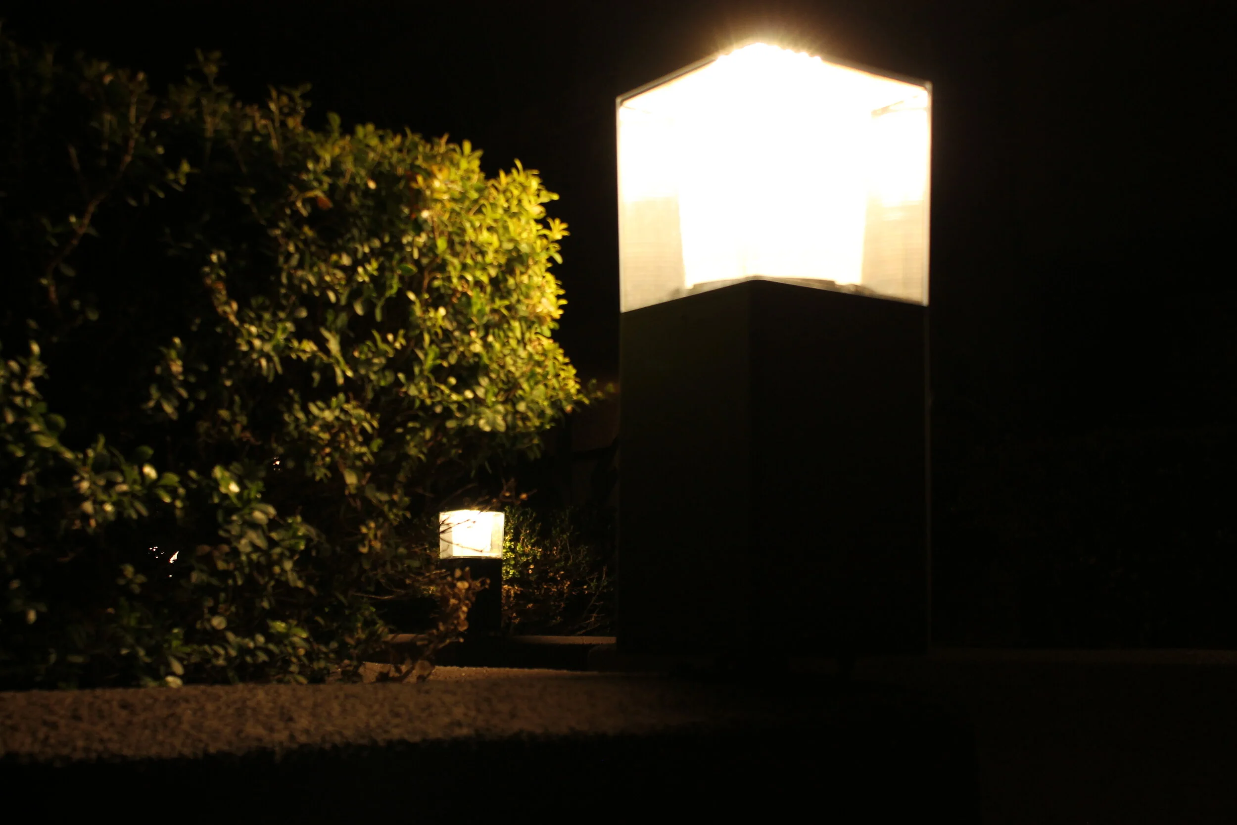 "The Shadows" by Nicole Callihan