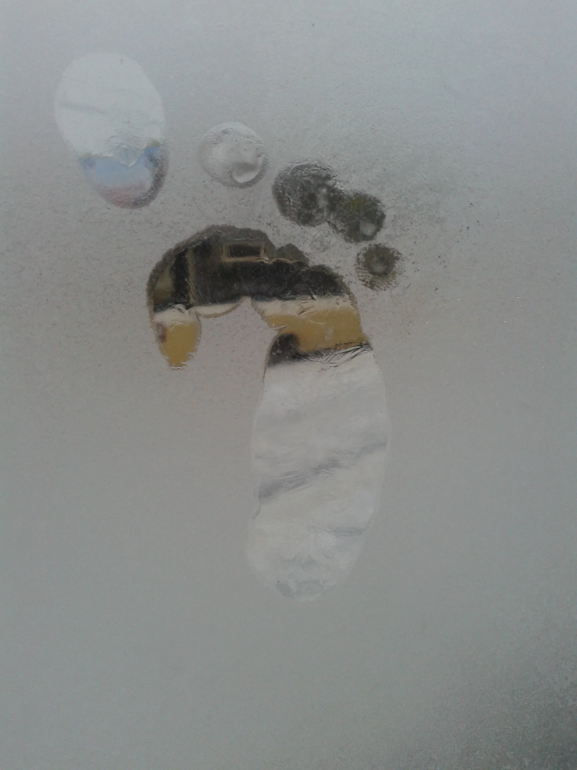 “Transubstantiation" by Wendy BooydeGraaff